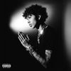 Luh Tyler - Destined For Greatness