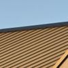 Brayden Canizo - Song About Roofs
