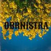 Vojko V - OBRNISTRA