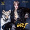 WOOSUNG - Wolf