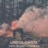 Lingua Ignota - SINNER GET READY // FRAGMENTS