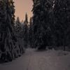 TOGIYO - AS THE COLD, IT DOES NOT PROGRESS