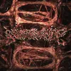 Digitist - SUBSISTENCE