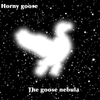 The Goose Nebula