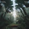 Mantra Machine - Echoes Forest