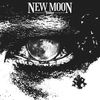 Tabber - New Moon