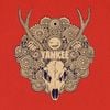 米津玄師 [Kenshi Yonezu] - YANKEE