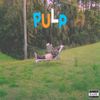 Cochise - Pulp