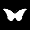 Amnesia Red - Wings