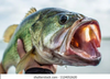 Extremely Sloppy Productions - Bass Fishing On A Warm Summer Day!