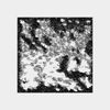 Silent Cicada - Ⅰ​​/​​Ⅱ​​/​​Ⅲ