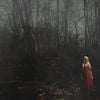 156/Silence - No Arms