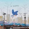 Sasha Allen - The Bluebirds