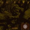 TYPHON - Go Nuts