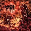 Nimda - SWALLOW THE SOIL