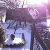 kiheir - mittens