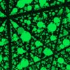 Smajl - unlimited network series