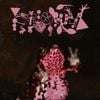 Phyllomedusa - The Pink Belly