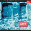 Elegie