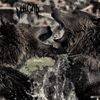 Vulgar - Primitive Human Nature