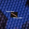 David Gray - White Ladder [Reissue]