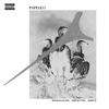 BenjaCasla28, dropoutter - PAPELEO (feat. Gabo)