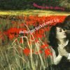 Folksongs For The Afterlife - Put Danger Back In Your Life