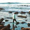 Oxidize - tidepools