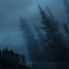 Stargaze - Through The Pines