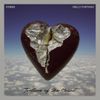 DVBBS - Torture of the Heart