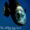 001: Barreleye Fish