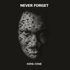 KRS-One - Never Forget