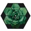 Boards of Canada - Vol.4 - P. Primers - 177 Giraud's Mirror