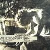 Buried In Spring - Integrate
