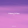 MAVI - I Know It Now