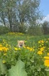 Summer!