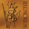 Harmonium - Pour un instant XLV