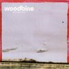 Woodbine - Best Before End