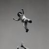Jay Veno - Look We&rsquo;re Flying
