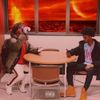 Guido & Tback - 482
