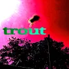 Trout