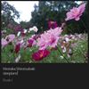 Hirotaka Shirotsubaki - &Eacute;tude 2