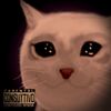 Xxxbi$entb0y$$ - Promete N&atilde;o Chorar ?