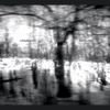Whisper Room - Birch White