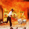 Krowty - 567