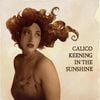 Grace Bevill - Calico Keening In The Sunshine