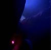 Enveelist - feel music