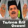 Tasleem Arif Qawwal - Tasleem Arif Qawwal, Vol. 672