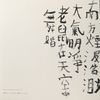 Yan Jun & Bani Haykal - Rats in the Bright Southern Sky