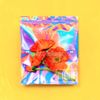 MisterWives - mini bloom